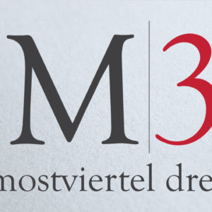 Logoentwicklung RE MEDIADESIGN Werbeagentur aus St. Valentin bei Amstetten