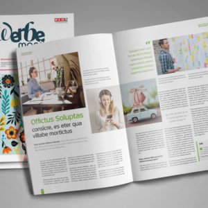 Magazin gestalten RE MEDIADESIGN Werbeagentur für Grafikdesign aus St. Valentin bei Amstetten